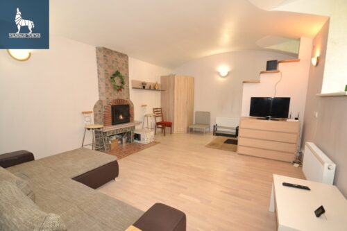 1 kambario buto nuoma Senamiestis, Rasų g.