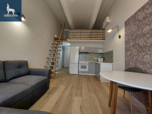 1 kambario buto nuoma Jeruzalė, Ateities g.