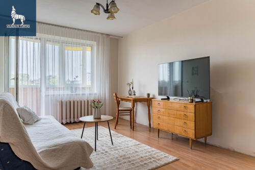 1 kambario butas  Antakalnis, P. Vileišio g.