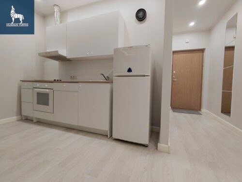 2 kambarių buto nuoma Vilniaus m., Šeškinės g.