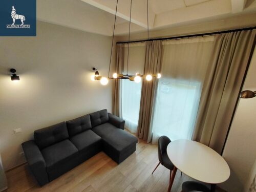 1 kambario buto nuoma Fabijoniškės, Ateities g.