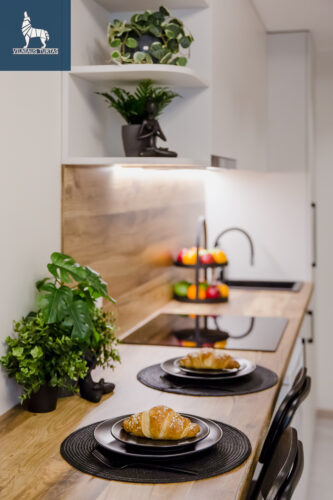 1 kambario butas  Žvėrynas, Studentų g. 45