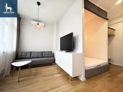 1 kambario buto nuoma Antakalnis, P. Vileišio g.