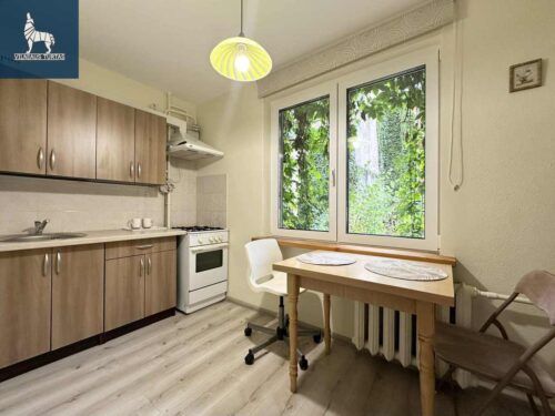 1 kambario buto nuoma Senamiestis, Šv. Stepono g.