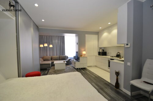 1 kambario buto nuoma Naujininkai, Brolių g.