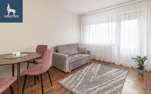 2 kambarių buto nuoma Žirmūnai, Minties g.