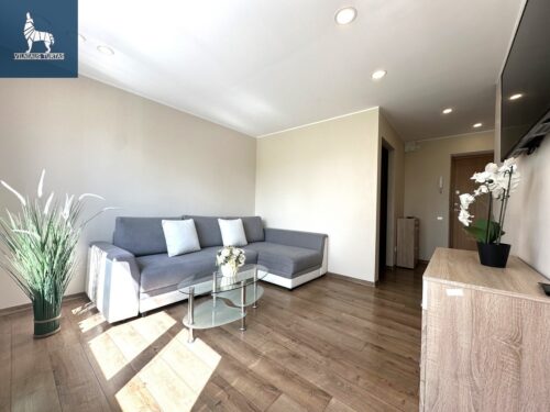 1 kambario buto nuoma Žemaičiai, Beržų g.