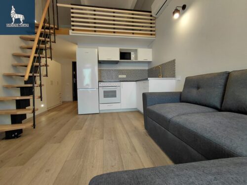 2 kambarių buto nuoma Jeruzalė, Ateities g.