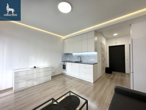 1 kambario buto nuoma Justiniškės,