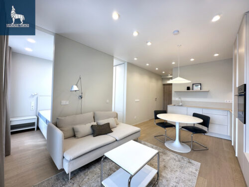 2 kambarių buto nuoma Žirmūnai, Pulko g.