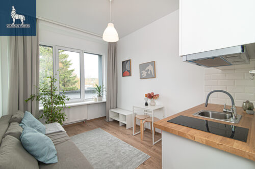 1 kambario butas  Paneriai, Kirtimų g.