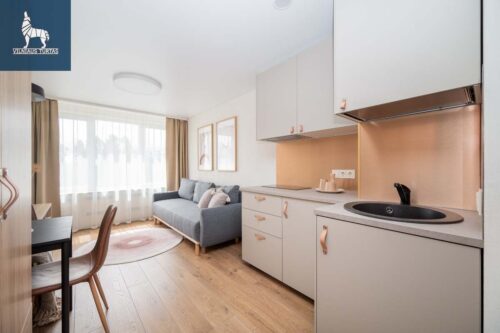 1 kambario butas  Žirmūnai, Žirmūnų g.