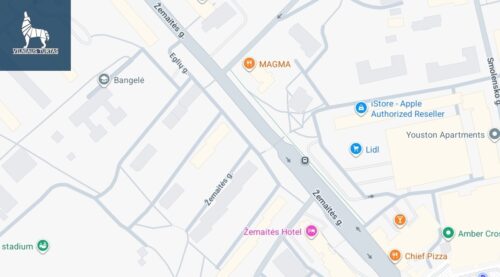 1 kambario butas  Naujamiestis, Eglių g.