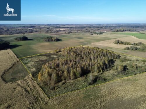 Žemės sklypas  Pakriaunio k.,