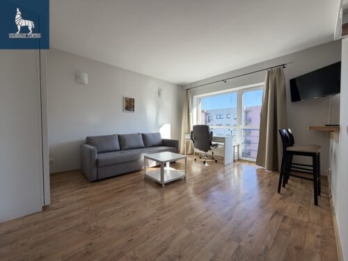 1 kambario buto nuoma Žirmūnai, V. Nagevičiaus g.