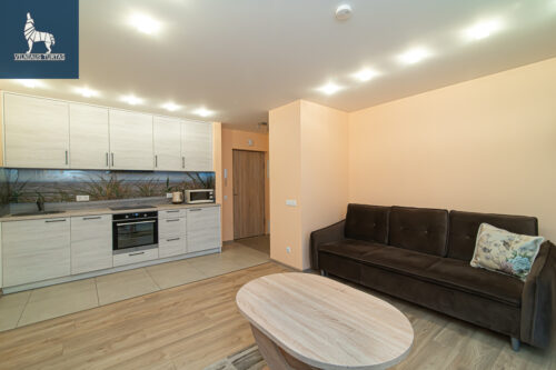 2 kambarių buto nuoma Šnipiškės,