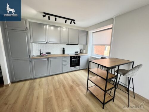 1 kambario buto nuoma Jeruzalė, Mokyklos g.