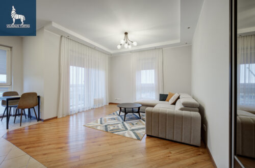 2 kambarių buto nuoma Pašilaičiai, Virbeliškių g.