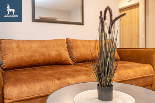 3 kambarių butas  Šnipiškės, Daugėliškio g.