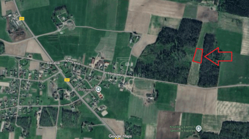 Žemės sklypas  Račaliai,