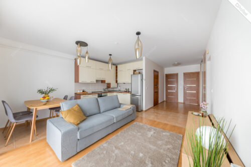 Butas ką tik kosmetiškai atnaujintas, nudažytas ir paruoštas naujiems gyventojams. Butas turi