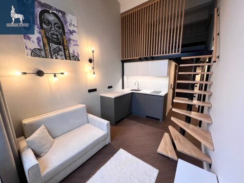 2 kambarių buto nuoma Naujamiestis, Naugarduko g.