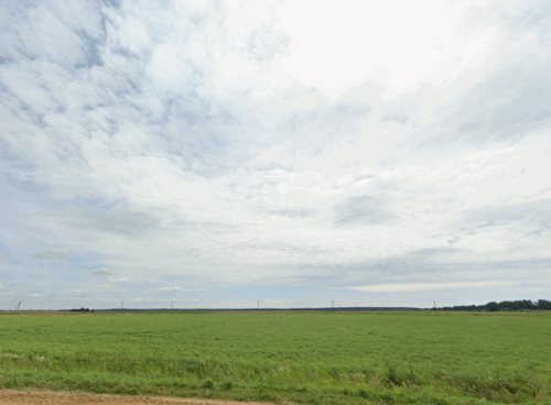 Žemės sklypas  Dreverna, Drevernos g.