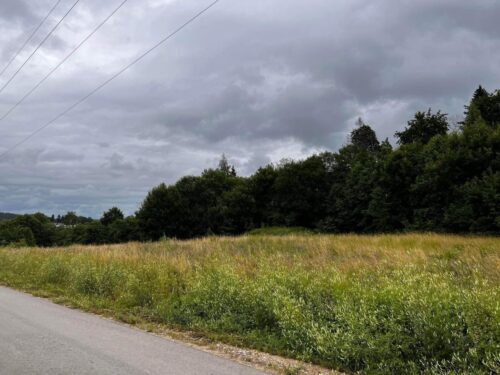 Parduodamas žemės sklypas Ignalinos rajone