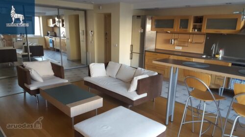 2 kambarių buto nuoma Pašilaičiai, Jurgio Baltrušaičio g.