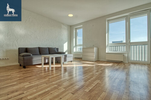 1 kambario buto nuoma Pašilaičiai, Eitminų g.