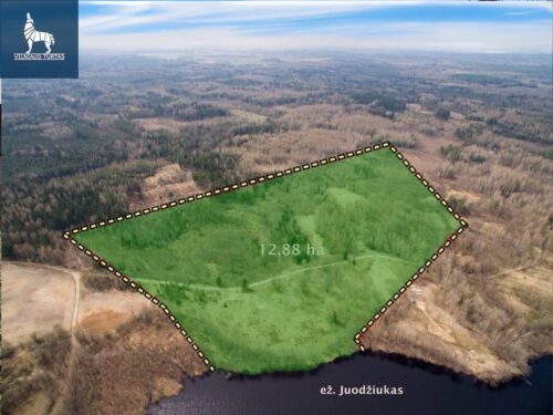 Žemės sklypas  Petrauskų k.,