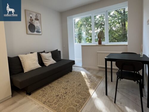 1 kambario buto nuoma Žirmūnai, Žirmūnų g.