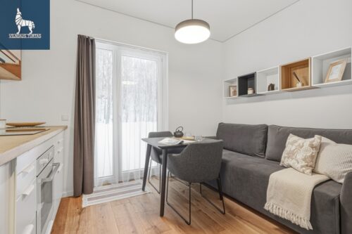 1 kambario butas  Naujoji Vilnia, Dūmų g.