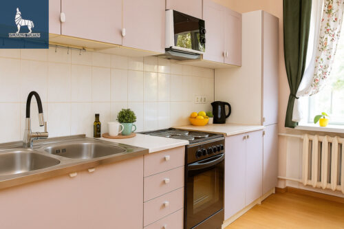 3 kambarių butas  Visagino m., Partizanų g. 3