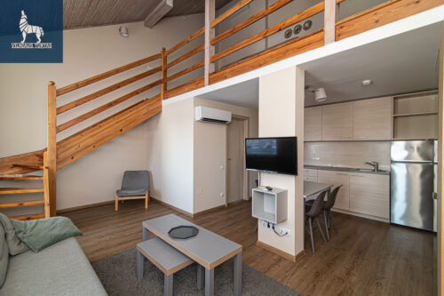 2 kambarių buto nuoma Pavilnys,