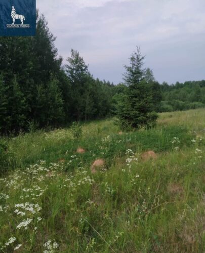 Žemės sklypas  Mažėnų k.,