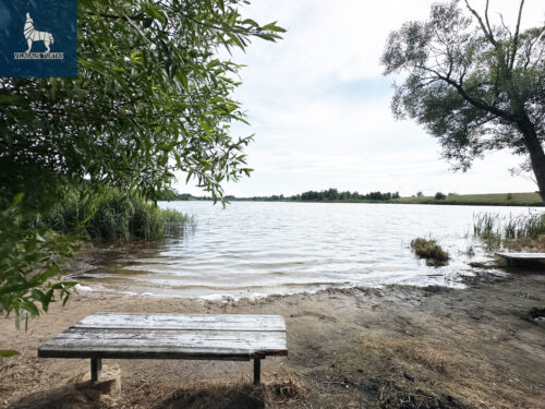 Žemės sklypas  Europos k.,