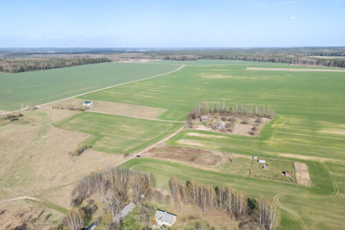 Žemės sklypas  Jaglimainių k., Vyšnių g.