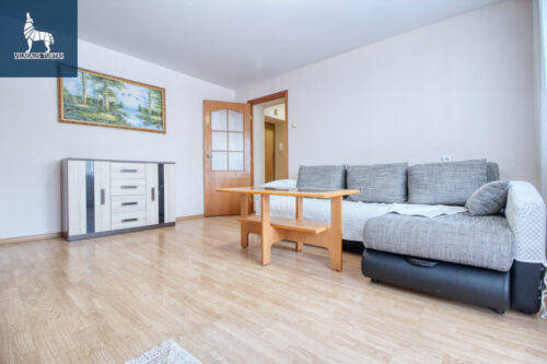 1 kambario buto nuoma Žvėrynas, Erelių g.