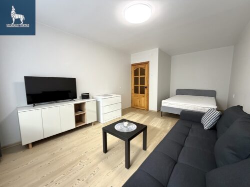 1 kambario buto nuoma Rasos, Tyzenhauzų g.