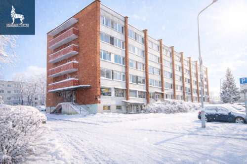 1 kambario butas  Šnipiškės, Rinktinės g.