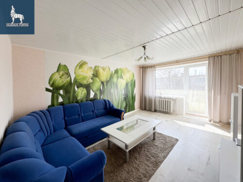 2 kambarių butas  Anykščių m., J. Biliūno g.