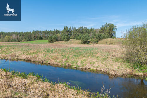 Žemės sklypas  Paluknio k.,