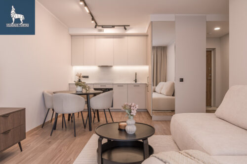 2 kambarių butas  Fabijoniškės, Liongino Baliukevičiaus-Dzūko g.