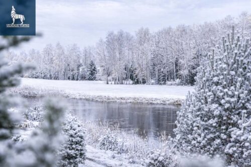2 kambarių namas  Masionių vs., Gardenijų g.