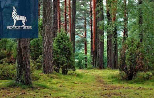 Žemės sklypas  Smėlynės k.,