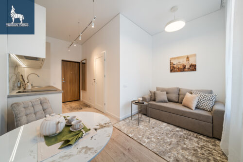 2 kambarių butas  Senamiestis, V. Šopeno g.