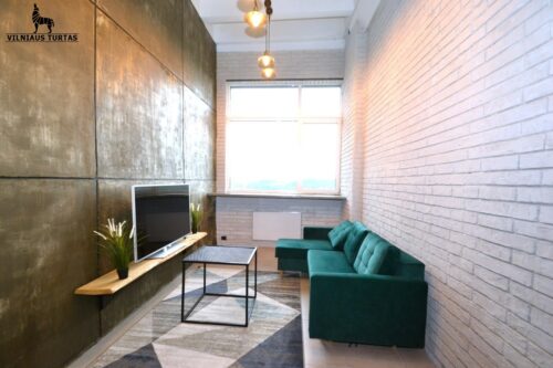 1 kambario buto nuoma Žemieji Paneriai, Titnago g.