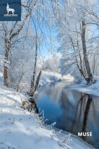 Žemės sklypas  Viršuliškių k., Viršuliškių