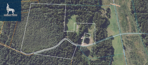 namas  Naujadalio vs.,